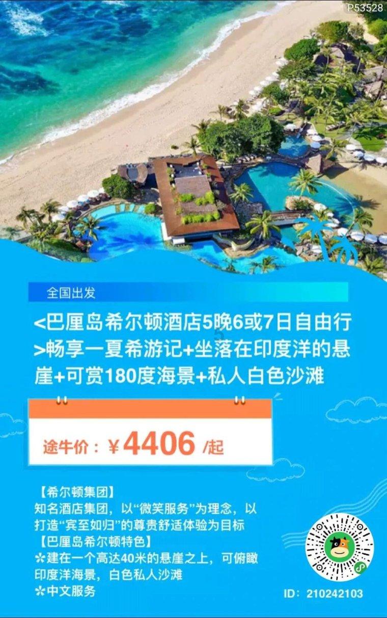 救援小孔雀
